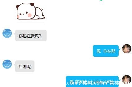 bd8d0a8e6804213c5ab7a919d398075c.png
